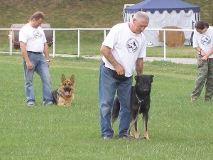 Obrazek